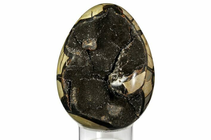 Septarian Dragon Egg Geode - Black Crystals #157897
